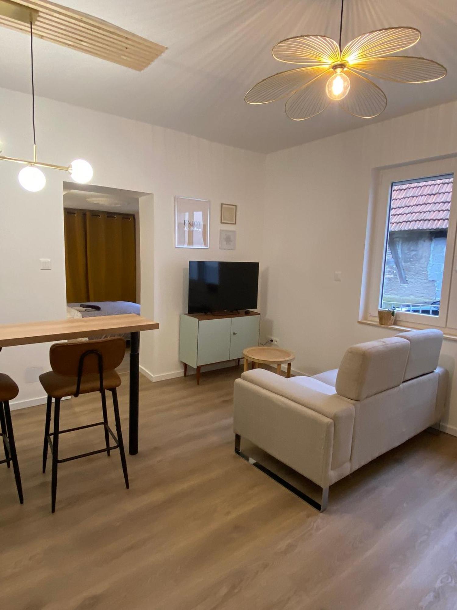 Appartement Cosy Soufflenheim Zewnętrze zdjęcie